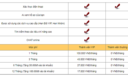 Hen ho truc tuyen: Dich vu hai ra tien danh cho nguoi e tai Viet Nam