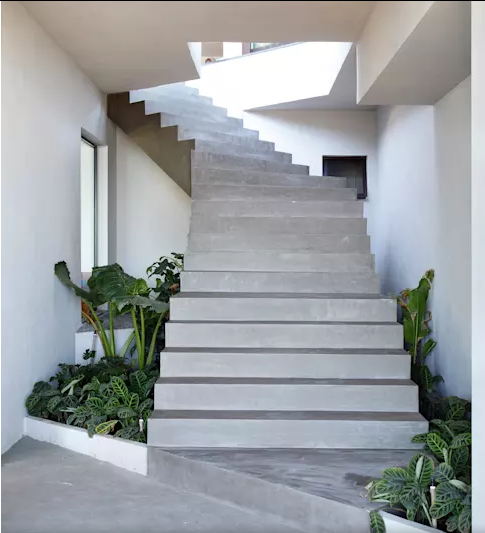 7. Trang trí với cây xanh Khi khu vực dưới cầu thang không rộng rãi để bạn thực hiện những ý tưởng tuyệt vời được gợi ý trên, bạn có thể trồng thêm cây cảnh, và chúng sẽ hoạt động như máy lọc không khí tự nhiên cho ngôi nhà của bạn.