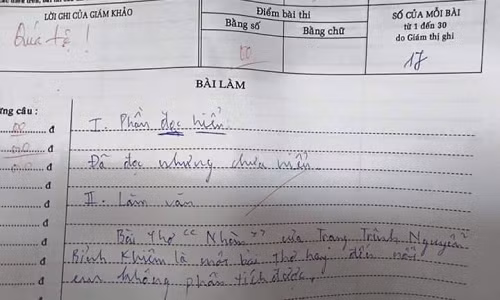 Phần đọc hiểu: Đã đọc nhưng chưa hiểu. Làm văn: Bài thơ "Nhàn" của Trạng Trình Nguyễn Bỉnh Khiêm là một bài thơ hay đến mức em không phân tích nổi.