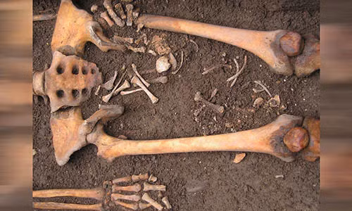 Bộ hài cốt sản phụ "sinh con trong quan tài".