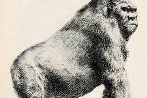 3 quai vat khong lo thoi tien su co the ton tai den ngay nay-Hinh-2