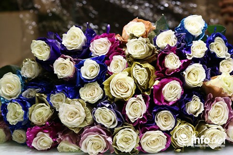 Hoa hồng nhuộm màu nhập khẩu được khách hàng "chịu chi" lựa chọn.