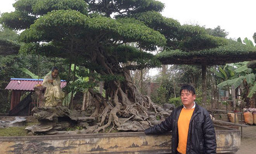 Dai gia Nam Dinh tiet lo bi mat kho tin tao nen 'bau vat' chuc ty