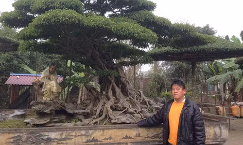 Dai gia Nam Dinh tiet lo bi mat kho tin tao nen 'bau vat' chuc ty