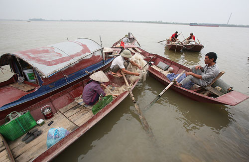  Cá mòi, loài cá nửa của sông nửa của biển, chỉ có ở sông Hồng. Dựa vào con nước đầu năm người dân đánh bắt được nhiều cá nhất trong năm. Ngã ba sông Hồng, sông Luộc, sông Nam Định là nơi nước sâu, cá về nhiều.