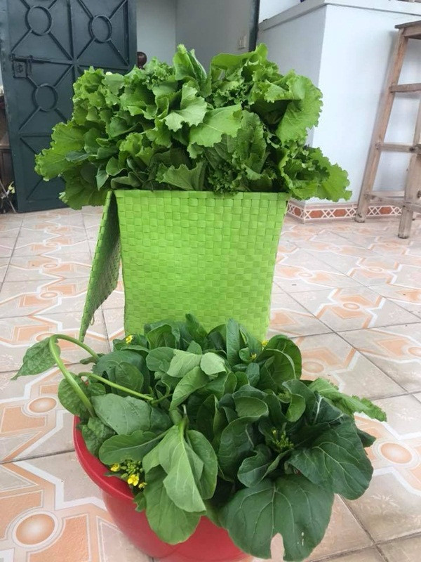 “Mỗi người có những thú vui khác nhau, người thì thích mua sắm, người thích đi spa, làm đẹp, người thì thích sưu tầm công nghệ... nhưng tôi luôn có niềm vui và niềm đam mê với việc trồng cây, hoa, rau, nuôi con vật trong nhà và tập luyện. Đấy là những niềm vui ngoài công việc, giúp cho cuộc sống trở nên sinh động và cân bằng hơn”, chị Huyền chia sẻ.