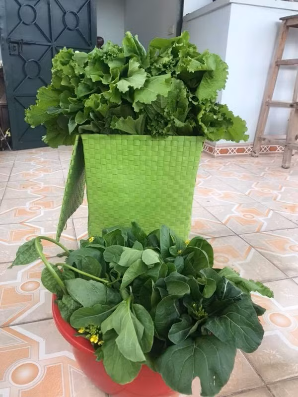 “Mỗi người có những thú vui khác nhau, người thì thích mua sắm, người thích đi spa, làm đẹp, người thì thích sưu tầm công nghệ... nhưng tôi luôn có niềm vui và niềm đam mê với việc trồng cây, hoa, rau, nuôi con vật trong nhà và tập luyện. Đấy là những niềm vui ngoài công việc, giúp cho cuộc sống trở nên sinh động và cân bằng hơn”, chị Huyền chia sẻ.