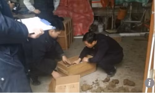 Cảnh sát đang kiểm kê số lựu đạn.