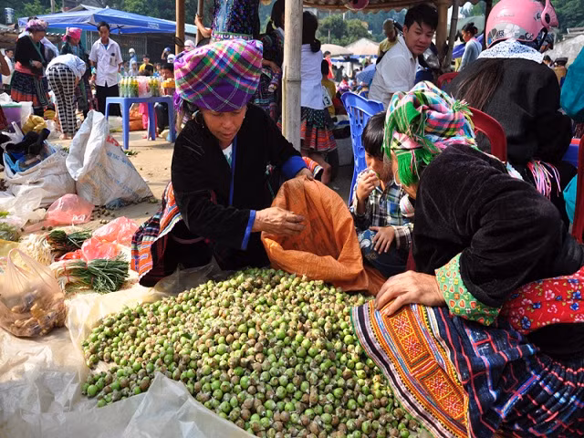 Táo mèo được đồng bào dân tộc Mông bày bán rất nhiều tại chợ phiên huyện Tam Đường (Lai Châu).(Ảnh Thái Bình)