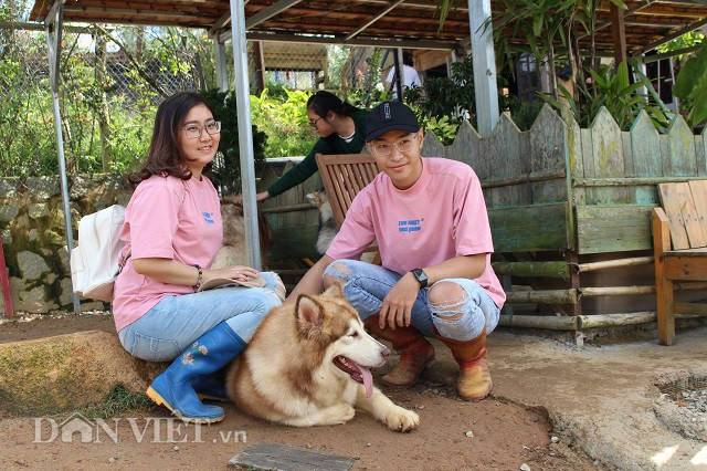 Du khách thích thú khi được chụp hình bên những con chó Alaska khổng lồ. Mặc dù ban đầu, họ khá e dè, có thể là lo sợ sự hung dữ của chúng.