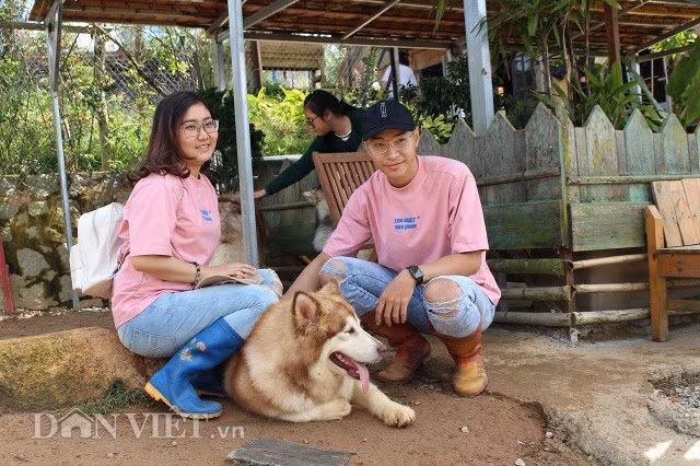 Du khách thích thú khi được chụp hình bên những con chó Alaska khổng lồ. Mặc dù ban đầu, họ khá e dè, có thể là lo sợ sự hung dữ của chúng.