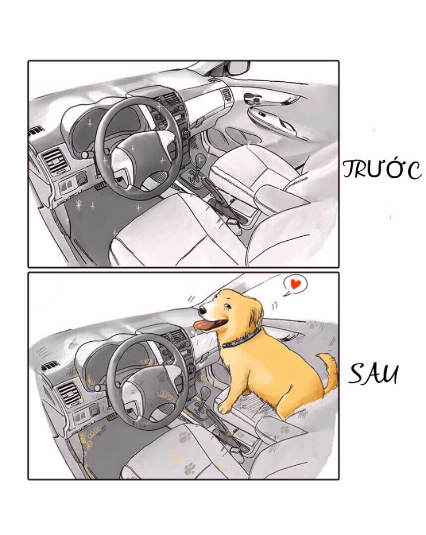 Dân mạng thường gọi chủ của thú cưng là "sen" cũng có nguyên do cả. Trong trường hợp này, hoặc bạn thu dọn chiến trường do "boss" để lại, hoặc là chịu cảnh "sống chung với lũ".