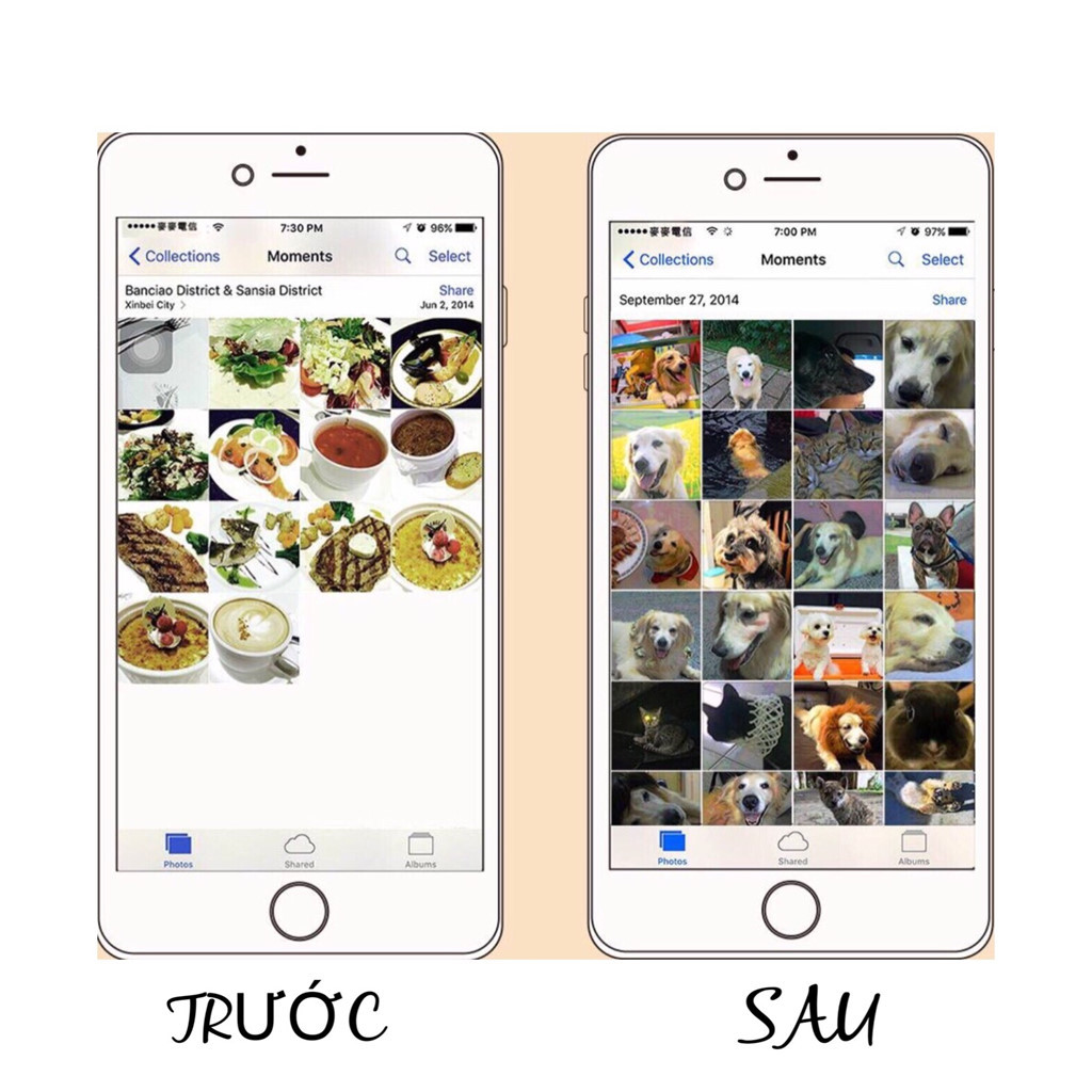 Đây là điện thoại của bạn hay thú cưng nhà bạn? Từ ngày có "boss", ảnh các món ăn ngon, hình selfie bị lùi dần vào dĩ vãng nhường chỗ cho "50 sắc thái" của pet mọi lúc mọi nơi.