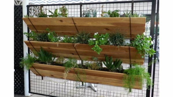 Tạo những chiếc kệ xinh xắn bằng gỗ kết hợp với bảng khung kim loại. Cách đơn giản này cũng có thể tăng thêm diện tích trồng cây cho gia đình bạn.