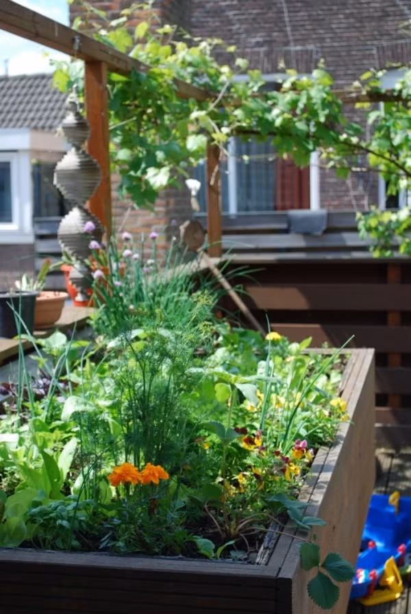 Tạo khung gỗ phía trên thành ban công để tiện lợi hơn cho việc trồng các loại cây leo. Tạo một rèm mát mẻ bằng cây xanh tạo nên vẻ đẹp tự nhiên và mát mắt cho ban công nhà bạn.