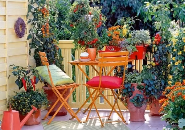 Những loại cây ăn quả như ớt, cà chua, chanh… đều vừa có thể làm cảnh vừa mang lại vẻ đẹp xinh tươi và nổi bật cho không gian ban công. Vì thế, hãy dành chút thời gian sắp xếp lại ban công để trồng các loại cây rau quả mà mình yêu thích. Góc nhỏ trò chuyện, thưởng trà mỗi sáng thêm bình yên và ấn tượng với sắc màu đa dạng.