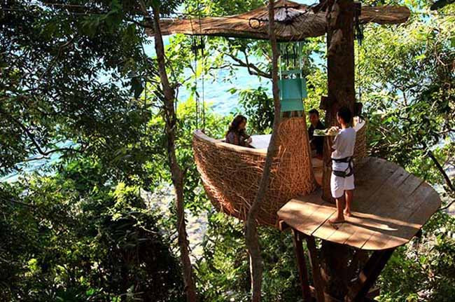 Nhà hàng này tọa lạc trên những cây bạch đàn cao hơn 8 mét. Thiết kế độc đáo khiến cho mọi người cảm tưởng như mình đang ngồi trong những chiếc giỏ mây, nằm lơ lửng giữa núi rừng. Một điều hấp dẫn nữa phải kể đến quang cảnh biển hồ mênh mông trước mặt, du khách có thể vừa thư giãn đọc sách, vừa phóng tầm mắt ngắm biển.