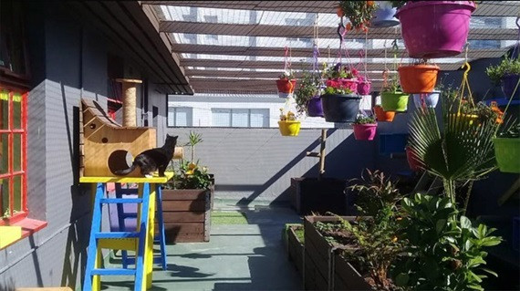 Khach san thu cung lon nhat the gioi 'chay phong' ngay khai truong-Hinh-3