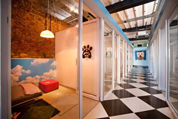 Khach san thu cung lon nhat the gioi 'chay phong' ngay khai truong-Hinh-5