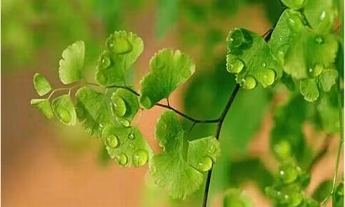 Nguoi thong minh ca doi khong noi nhung loi nhu the nay