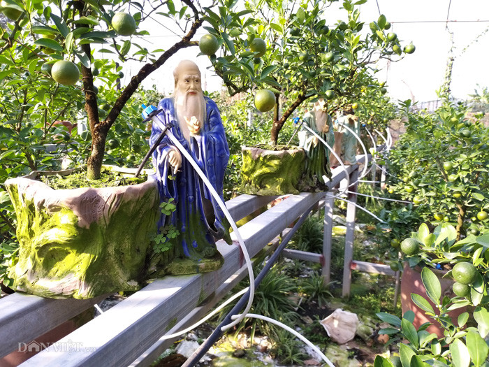 Mới đây, ông Xuân khiến nhiều người bất ngờ khi mạnh dạn đầu tư giàn tưới công nghệ cao vào chăm sóc vườn quất của mình. "Dù việc lắp đặt không tốn kém nhiều tiền nhưng từ khi lắp đặt đường ống này và đưa vào sử dụng, gia đình tôi không chỉ tiết kiệm được nhiều nhân công mà việc tưới nước, chăm bón phân cho cây cũng được đảm bảo hơn trước", ông Xuân chia sẻ thêm.