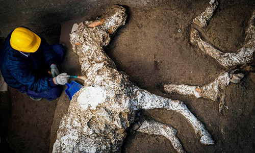 Phat hien con vat dong cung 2.000 nam sau tham hoa nui lua