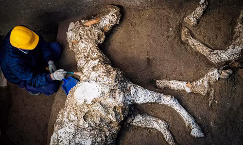 Phat hien con vat dong cung 2.000 nam sau tham hoa nui lua