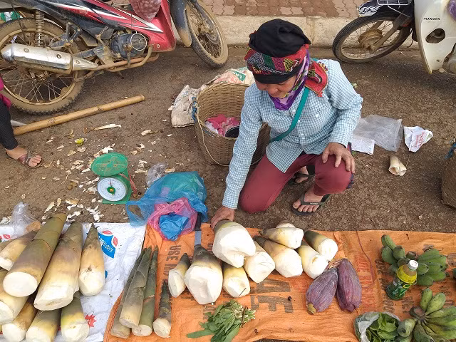 Những củ măng tươi trắng tinh, to bằng bắp chân người lớn luôn là sự lựa chọn của nhiều khách hàng khi đến với khu chợ bán các sản vật vùng cao này.