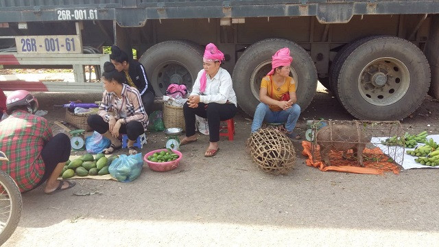 Tận dụng bóng râm của xe ô tô làm nơi bán hàng không chỉ giúp các chị đỡ mệt hơn mà còn làm những mớ rau tươi lâu và những chú lợn cắp nách cũng có chỗ nằm mát mẻ.