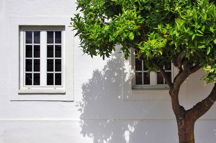 Tỉa bớt cây bên ngoài ngôi nhà Những cây lớn bên ngoài ngôi nhà có thể là nguyên nhân khiến căn nhà của bạn thiếu sáng. Bạn nên tỉa bớt tán lá để đón thêm nhiều ánh sáng vào trong căn phòng.