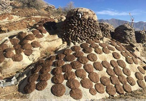 Đặc biệt trong ngày lễ truyền thống Diwali, nhiều người dân Ấn Độ thường cử hành nghi thức tại nhà hoặc văn phòng, dẫn đến tình trạng cung không đủ cầu đối với mặt hàng này.