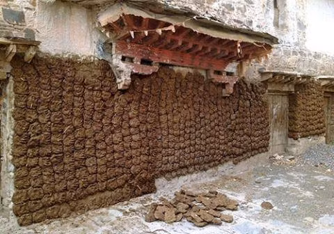 Tại nông thôn Ấn Độ, những căn nhà “dính” đầy bánh phân bò trên tường tượng trưng cho sự giàu có và tôn quý.