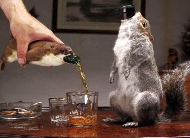 Loại bia này không dành cho những người yêu động vật. Loại bia này không dành cho những người yêu động vật.