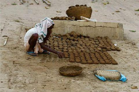 Trên một số trang web đấu giá, “bánh” phân bò cũng trở thành sản phẩm “hot”. Mỗi miếng “bánh” nặng khoảng 200g, một hộp có từ 2 đến 8 miếng với mức giá từ 100 – 400 Rupi Ấn Độ (35.000 – 140.000 VNĐ). Chúng thường được dùng làm nhiên liệu đốt, sưởi ấm, làm phân bón hữu cơ hoặc sử dụng trong các nghi thức truyền thống. Đối với người Ấn Độ, phân bò là vật phẩm của thần thánh, có khả năng tẩy rửa sự ô uế. Vì vậy trong ngày lễ, họ sẽ hun phân bò như một nghi thức để đem lại sự thanh sạch cho gia chủ.