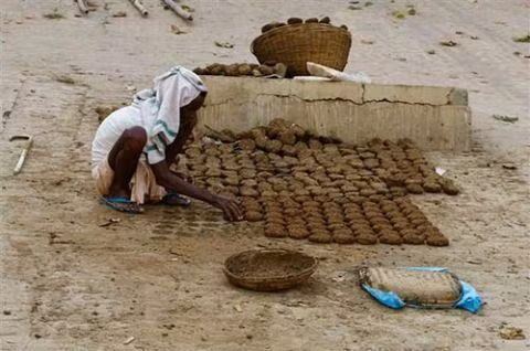 Trên một số trang web đấu giá, “bánh” phân bò cũng trở thành sản phẩm “hot”. Mỗi miếng “bánh” nặng khoảng 200g, một hộp có từ 2 đến 8 miếng với mức giá từ 100 – 400 Rupi Ấn Độ (35.000 – 140.000 VNĐ). Chúng thường được dùng làm nhiên liệu đốt, sưởi ấm, làm phân bón hữu cơ hoặc sử dụng trong các nghi thức truyền thống. Đối với người Ấn Độ, phân bò là vật phẩm của thần thánh, có khả năng tẩy rửa sự ô uế. Vì vậy trong ngày lễ, họ sẽ hun phân bò như một nghi thức để đem lại sự thanh sạch cho gia chủ.