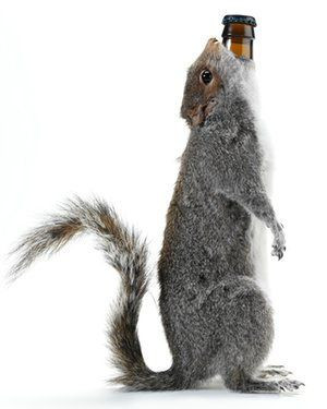 Loại bia này cũng gần như giữ kỷ lục về độ cồn "khủng" là 55%. Có thể gọi loại bia này thuộc dạng siêu "hiếm" ở mọi mặt!