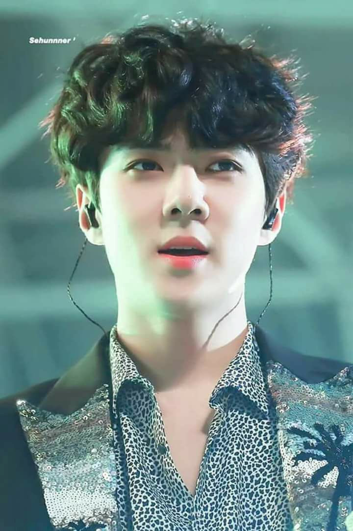 Se Hun (EXO): Em út EXO cũng gia nhập hội mỹ nam "mê mệt" tóc tổ chim. Anh chàng thường mang kiểu tóc này lên sân khấu. Độ dài và hình dáng tóc của Se Hun khá giống với Chan Yeol nhưng phần tóc mái được để dày hơn. Với kiểu tóc này, Se Hun trông không hề luộm thuộm hay thiếu chỉn chu, trái lại nam thần tượng vẫn toát lên vẻ nam tính.