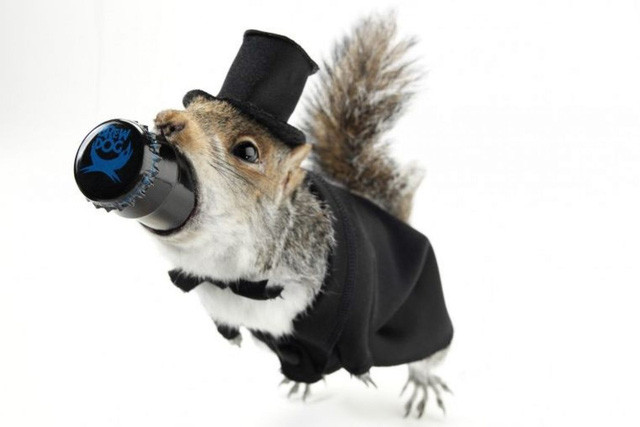 Tên loại bia này được đặt theo tựa đề cuốn sách của nhà triết học Francis Fukuyama, "The End of History and the Last Man".