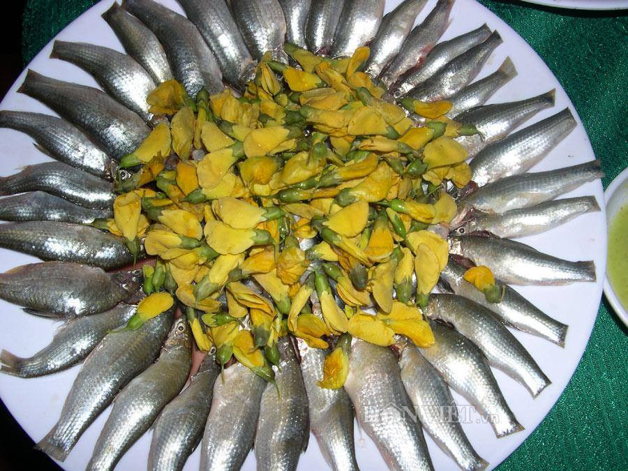 Mien Tay mua nuoc noi: Ca linh mua lu, nhung co may loai ca linh?-Hinh-3