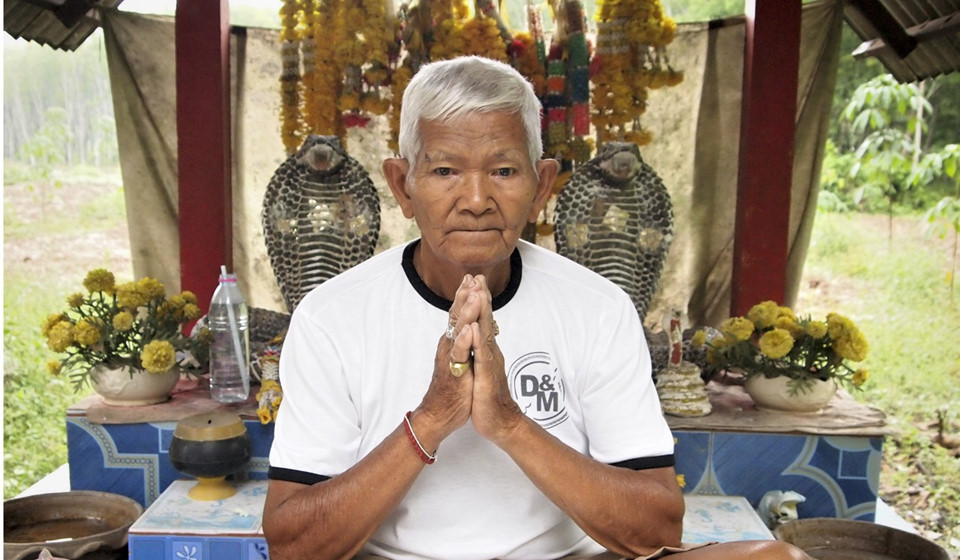 Người dân làng Namaipai, miền nam Thái Lan, tin rằng rắn hổ mang là "rắn thiên thần", biểu tượng của sự may mắn, có thể mang lại sức khỏe dồi dào và tài lộc thịnh vượng cho con người. Ngoài ra, họ cho rằng loài bò sát này có nhiều khả năng ma thuật như trò chuyện với con người hoặc biến hình thành người. Ảnh: Tibor Krausz.