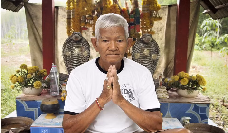 Người dân làng Namaipai, miền nam Thái Lan, tin rằng rắn hổ mang là "rắn thiên thần", biểu tượng của sự may mắn, có thể mang lại sức khỏe dồi dào và tài lộc thịnh vượng cho con người. Ngoài ra, họ cho rằng loài bò sát này có nhiều khả năng ma thuật như trò chuyện với con người hoặc biến hình thành người. Ảnh: Tibor Krausz.