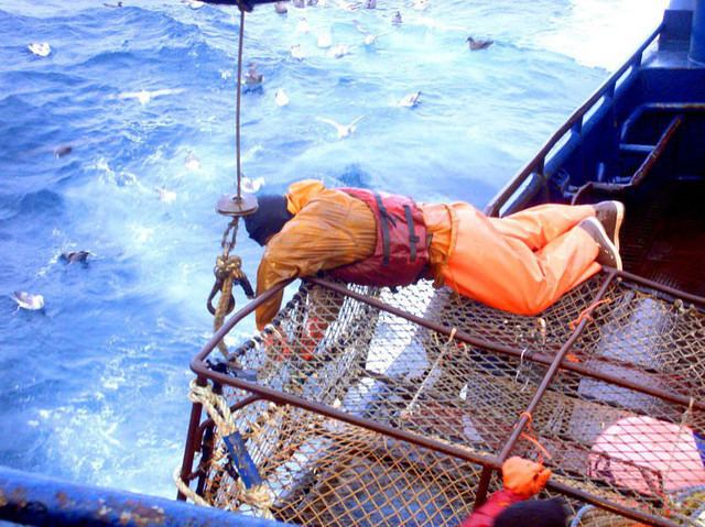 Biển lạnh, lại phải lặn sâu, rõ ràng để bắt được cua hoàng đế là rất khó khăn. Ấy là chưa kể mùa săn cua hoàng đế thường diễn ra vào tháng 10 - thời điểm các vùng biển phía Bắc trở nên cực kỳ lạnh và hung dữ, tức là nguy hiểm hơn.