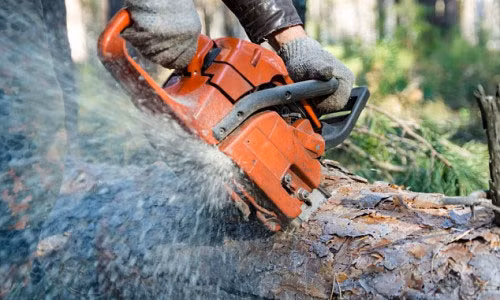 Tai nạn lao động đáng tiếc khi tỉa cây đã khiến ông Laporte chết do bị đứt cuống họng.