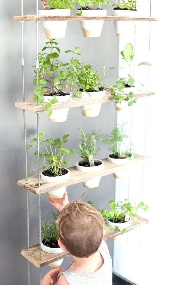 Một “xích đu” với nhiều ngăn kệ để trồng các chậu cây cũng là ý tưởng thú vị. Bởi bạn hoàn toàn có thể đặt các chậu cây vào bên trong, tạo xích đu với độ cao vừa phải giúp các bé có thể tự chăm sóc cây và tìm hiểu thiên nhiên mỗi ngày.