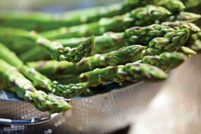 Dành một khoảng diện tích nhất định để trồng măng tây, giúp không gian sống thêm đẹp hơn và giúp bữa ăn gia đình thêm nguồn nguyên liệu sạch tự nhiên.