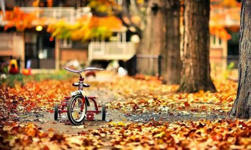 Tu vi thang 10/2018 chi tiet cua 12 con giap