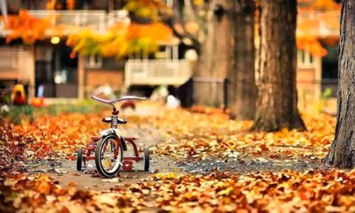 Tu vi thang 10/2018 chi tiet cua 12 con giap