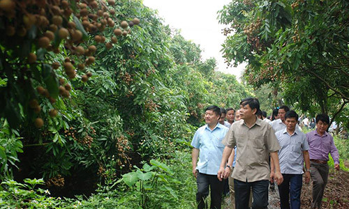 Chu tich huyen moi ngay danh 2 tieng dong ho di ban nhan