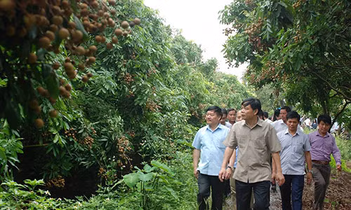 Chu tich huyen moi ngay danh 2 tieng dong ho di ban nhan