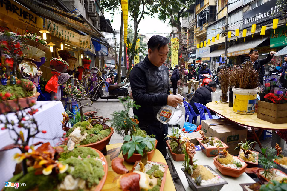 Chủ nhân gian hàng độc đáo này là anh Nguyễn Đức Hoàng. Anh cho biết để tạo thú chơi mới cho người Hà Nội, anh nảy ra ý định tạo những chậu cây cảnh bonsai từ nấm linh chi. Hiện tại anh Hoàng và cộng sự có một trang trại nấm linh chi tại Đan Phượng (Hà Nội) chuyên bán thương phẩm.